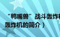 “鸭嘴兽”战斗轰炸机（关于“鸭嘴兽”战斗轰炸机的简介）