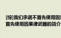 [综]我们承诺不首先使用因果律武器（关于[综]我们承诺不首先使用因果律武器的简介）