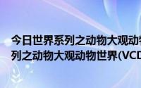 今日世界系列之动物大观动物世界(VCD)（关于今日世界系列之动物大观动物世界(VCD)的简介）