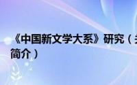 《中国新文学大系》研究（关于《中国新文学大系》研究的简介）