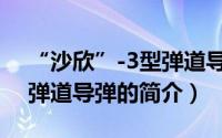 “沙欣”-3型弹道导弹（关于“沙欣”-3型弹道导弹的简介）