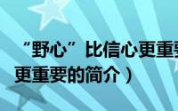 “野心”比信心更重要（关于“野心”比信心更重要的简介）