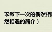 家教下一次的偶然相遇（关于家教下一次的偶然相遇的简介）