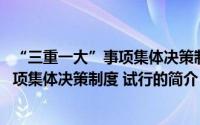 “三重一大”事项集体决策制度 试行（关于“三重一大”事项集体决策制度 试行的简介）