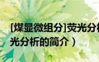 [煤显微组分]荧光分析（关于[煤显微组分]荧光分析的简介）