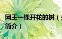 网王一棵开花的树（关于网王一棵开花的树的简介）