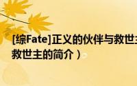 [综Fate]正义的伙伴与救世主（关于[综Fate]正义的伙伴与救世主的简介）