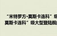 “米特罗方·莫斯卡连科”级大型登陆舰（关于“米特罗方·莫斯卡连科”级大型登陆舰的简介）