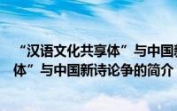 “汉语文化共享体”与中国新诗论争（关于“汉语文化共享体”与中国新诗论争的简介）