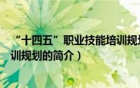 “十四五”职业技能培训规划（关于“十四五”职业技能培训规划的简介）