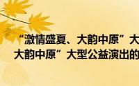 “激情盛夏、大韵中原”大型公益演出（关于“激情盛夏、大韵中原”大型公益演出的简介）