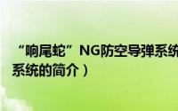 “响尾蛇”NG防空导弹系统（关于“响尾蛇”NG防空导弹系统的简介）