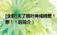 [全职]天了噜叶神成精惹！！（关于[全职]天了噜叶神成精惹！！的简介）