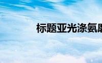 标题亚光涤氨磨毛布什么样的