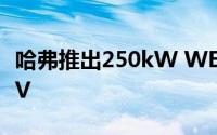 哈弗推出250kW WEY P8插电式混合动力SUV