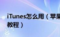 iTunes怎么用（苹果itunes下载和使用图文教程）