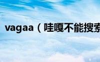 vagaa（哇嘎不能搜索资源解决方法(图解)）