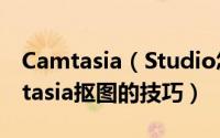 Camtasia（Studio怎么进行绿幕抠像  Camtasia抠图的技巧）