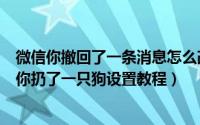 微信你撤回了一条消息怎么改（微信对方撤回一条消息并向你扔了一只狗设置教程）