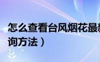 怎么查看台风烟花最新消息（台风烟花路径查询方法）