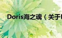 Doris海之魂（关于Doris海之魂的简介）