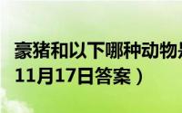 豪猪和以下哪种动物是近亲（蚂蚁庄园小课堂11月17日答案）