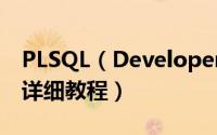 PLSQL（Developer 11安装破解+汉化图文详细教程）