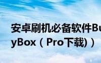 安卓刷机必备软件BusyBox安装教程(附BusyBox（Pro下载)）