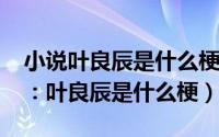 小说叶良辰是什么梗（(图)QQ神对话告诉你：叶良辰是什么梗）