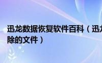 迅龙数据恢复软件百科（迅龙数据恢复软件如何恢复sd卡删除的文件）