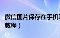 微信图片保存在手机哪里（微信图片保存路径教程）