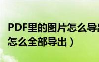 PDF里的图片怎么导出来（PDF文件里的图片怎么全部导出）