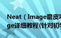 Neat（Image磨皮功能如何使用 Neat Image详细教程(针对初学者)）