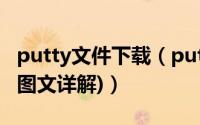 putty文件下载（putty下载、安装使用方法(图文详解)）