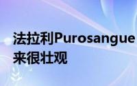 法拉利Purosangue SUV采用混合技术 看起来很壮观