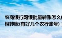 农商银行网银批量转账怎么使用（农行网银账户之间如何互相转账(有好几个农行账号)）