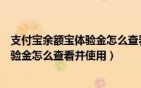 支付宝余额宝体验金怎么查看并使用记录（支付宝余额宝体验金怎么查看并使用）