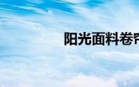 阳光面料卷帘是什么样的