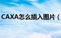 CAXA怎么插入图片（caxa导入图片的技巧）