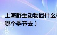 上海野生动物园什么季节去（上海野生动物园哪个季节去）