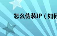 怎么伪装IP（如何伪装你的IP(二)）