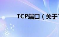 TCP端口（关于TCP端口的简介）