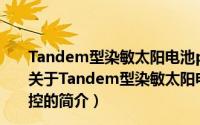 Tandem型染敏太阳电池p型光阴极准一维微纳结构调控（关于Tandem型染敏太阳电池p型光阴极准一维微纳结构调控的简介）