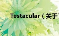 Testacular（关于Testacular的简介）