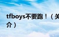 tfboys不要跑！（关于tfboys不要跑！的简介）