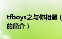 tfboys之与你相遇（关于tfboys之与你相遇的简介）