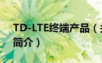 TD-LTE终端产品（关于TD-LTE终端产品的简介）