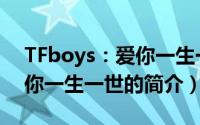 TFboys：爱你一生一世（关于TFboys：爱你一生一世的简介）