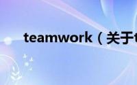 teamwork（关于teamwork的简介）