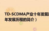 TD-SCDMA产业十年发展历程（关于TD-SCDMA产业十年发展历程的简介）